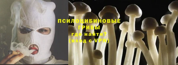 круглые Абаза