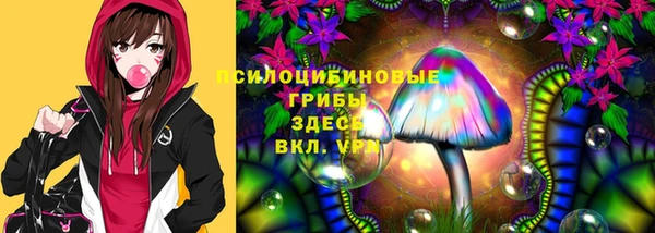 МДПВ Красноперекопск