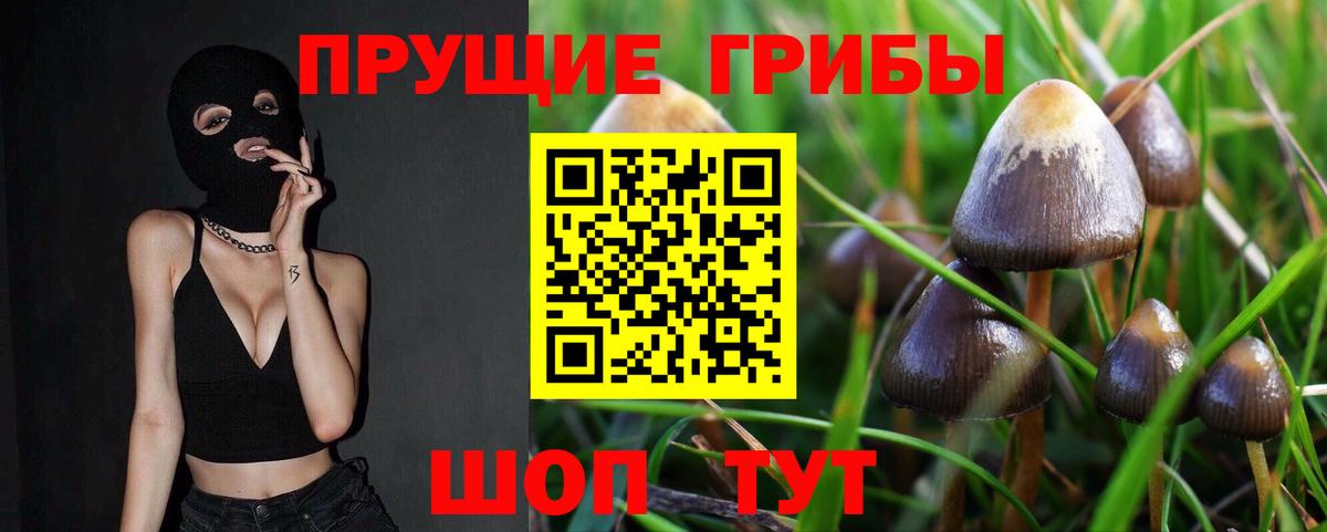 Псилоцибиновые грибы Magic Shrooms Звенигород